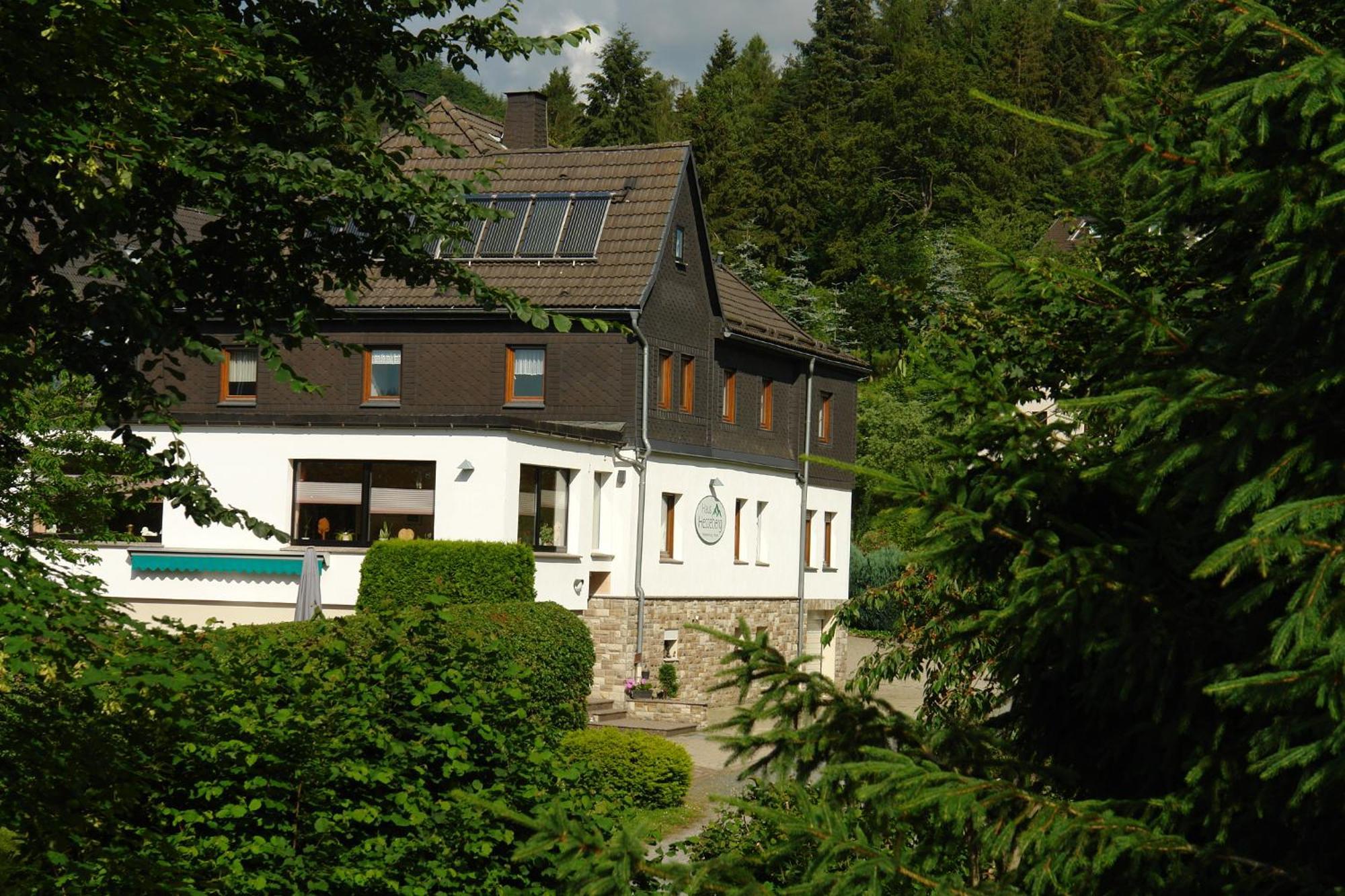 Haus Hesseberg Hotel Medebach Luaran gambar